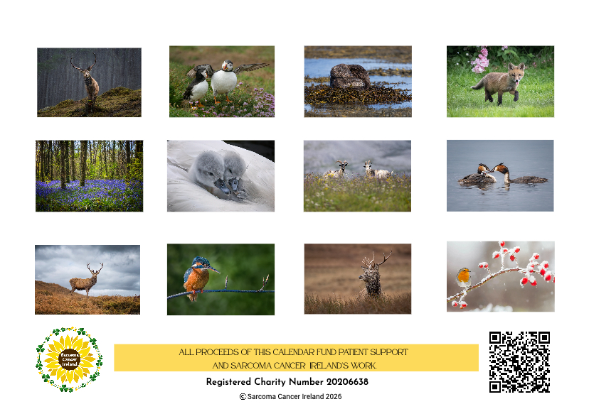 Calendar 2026 – Nature & Wildlife - Image 2