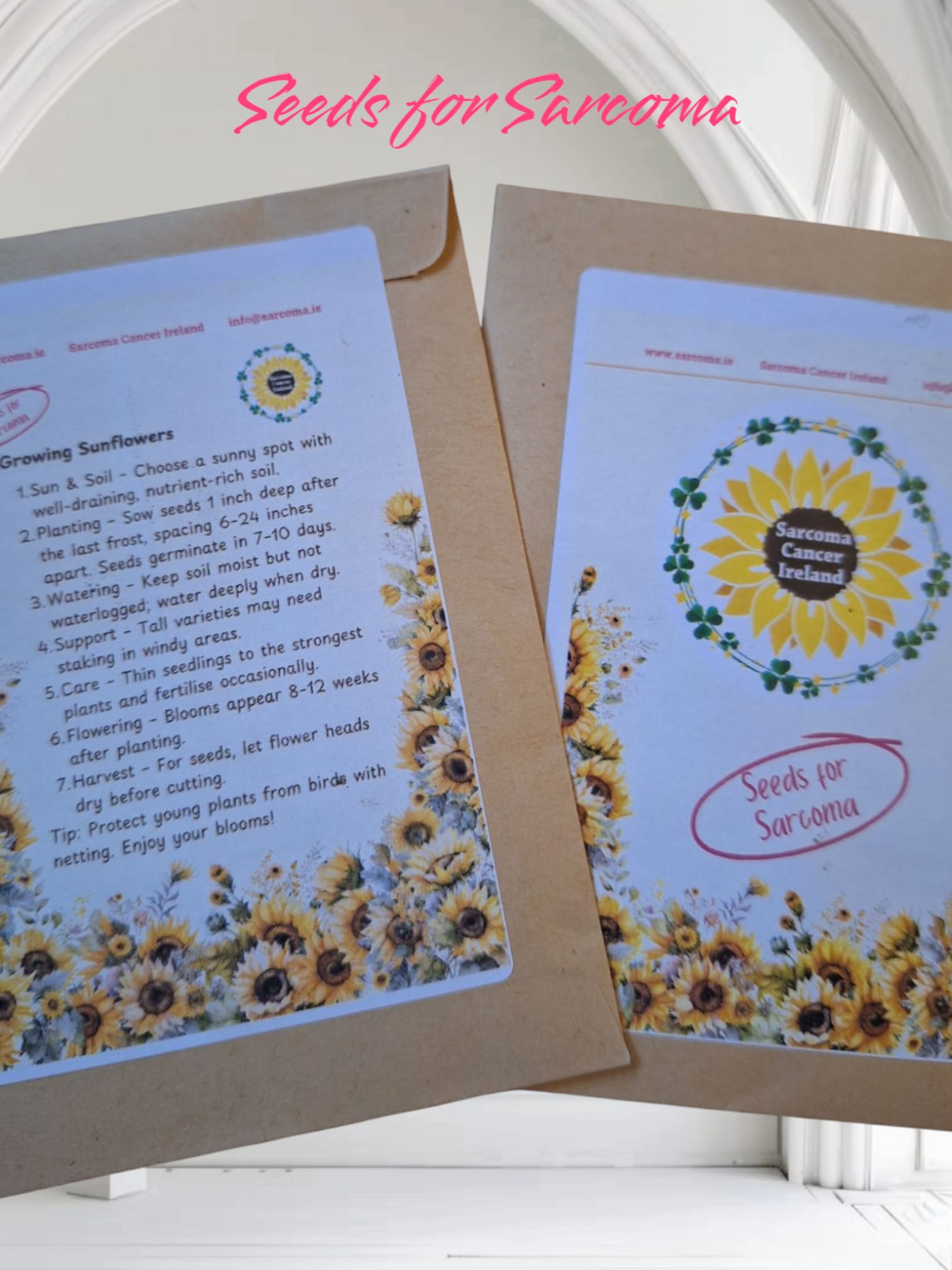 Seeds for Sarcoma